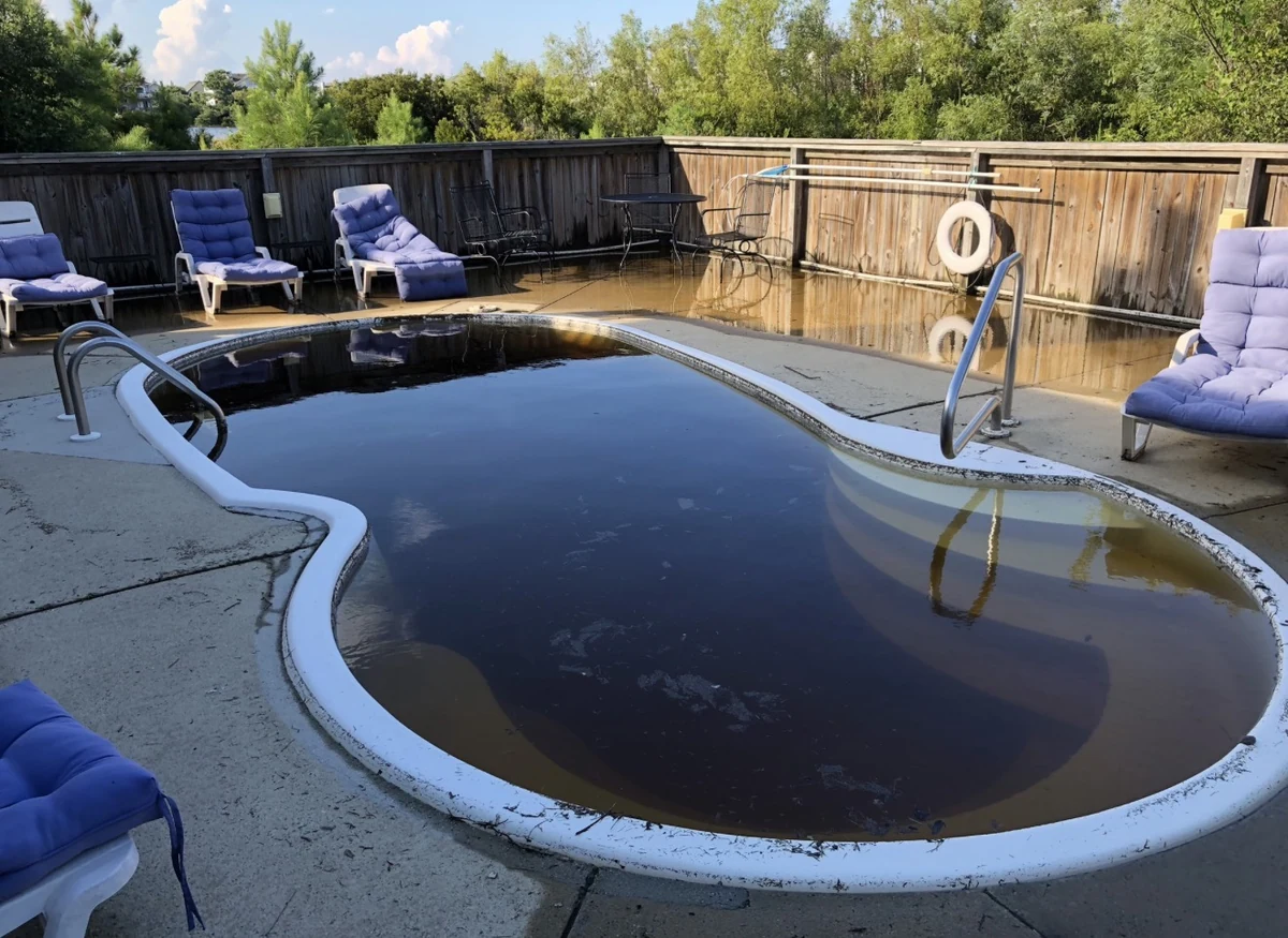 The backyard pool before service, with very dark water.